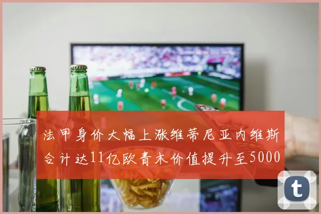 法甲身价大幅上涨维蒂尼亚内维斯合计达11亿欧青木价值提升至5000万