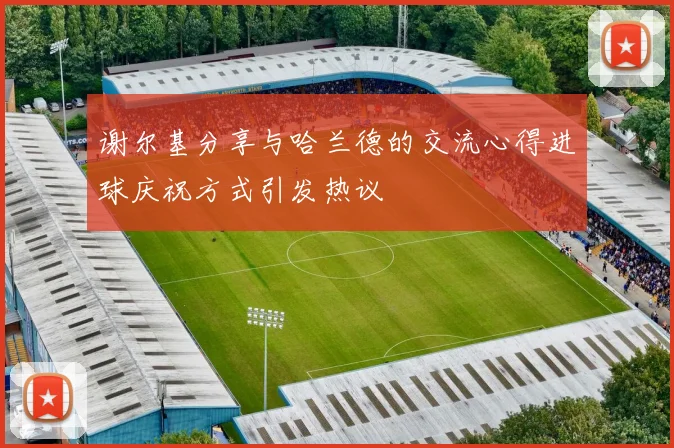 谢尔基分享与哈兰德的交流心得进球庆祝方式引发热议