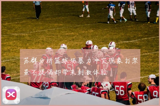苏群分析篮球场暴力冲突现象打架虽不提倡却带来刺激体验